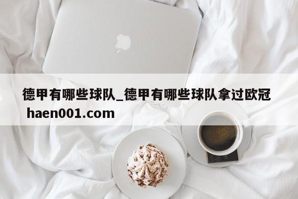 德甲有哪些球队_德甲有哪些球队拿过欧冠  haen001.com